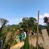kunwaranji7426