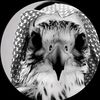alhajri503