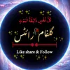 malikgulfaam29