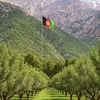 ruman0428