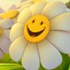 user8618185618677