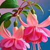 muslima.akhter24