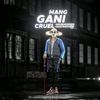 ganiistory_