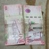 salim.365gemai