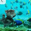 missthavel3577