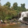 phantanhau4