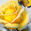 mozrun.nahar