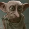 dobby_14