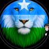 cabdisalan.ayanle