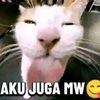 yoll1xyz