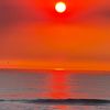 living_the_dream_la