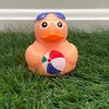 donatelladuck_adventures