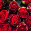 linda.tom81