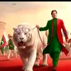 rana.imran0240