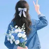 hmeo96