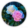 user7400312879775