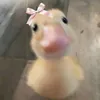 kyaratjjjjj