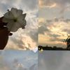 shuuto.ahmed0
