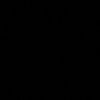 salommm39
