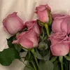 user9053037502669