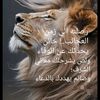 user707178406614