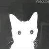pinnn_780