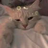 asha_md1973