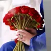 zahraali4896