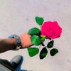 user8619145600560
