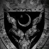 sharjeel_313_1