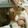 julietamolla7