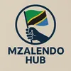 mzalendo_hub