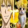 user9816984781995