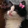 theclassofruby