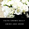 faithgrowsdaily
