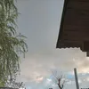 dylan_gomez112
