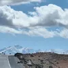 touriyatajani5
