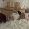 .tilly_tales_