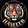 rana.haseeb055