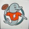 finsflash