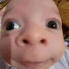 camonvidaxuathieno_o