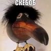 skebob_ne_zaceper3