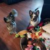 sweetheart_paws