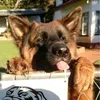goodboy9892