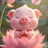 hoihoanhy1007