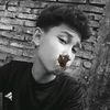brllia_ntt