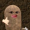 soluvgnj