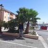 florea.golita
