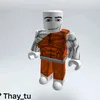 thay_tuwiner
