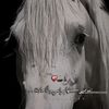 user54167339601351